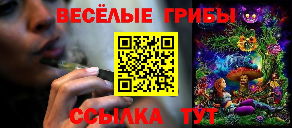 Галлюциногенные грибы MAGIC MUSHROOMS  Вход с VPN  Гурьевск  Псилоцибиновые грибы Psilocybine cubensis 