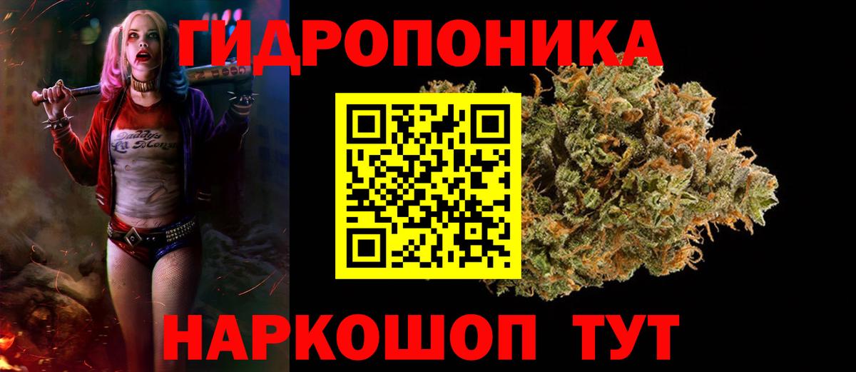 Гурьевск  Шишки марихуана OG Kush  Канабис планчик  Каннабис сатива  Вход с VPN 